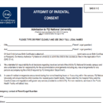 Affidavit Consent Form