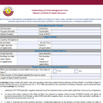 Qatar Consent Form