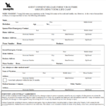 Young Life Health And Consent Form